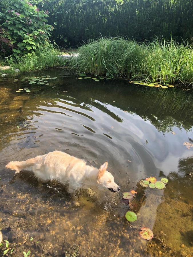 Millies Hosting - Familienurlaub Mit Hund In Kaernten Sankt Paul im Lavanttal المظهر الخارجي الصورة