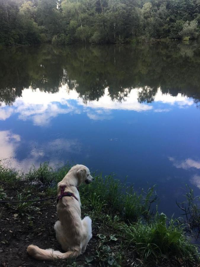Millies Hosting - Familienurlaub Mit Hund In Kaernten Sankt Paul im Lavanttal المظهر الخارجي الصورة
