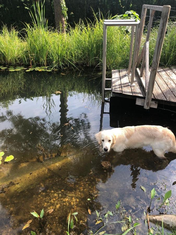 Millies Hosting - Familienurlaub Mit Hund In Kaernten Sankt Paul im Lavanttal المظهر الخارجي الصورة