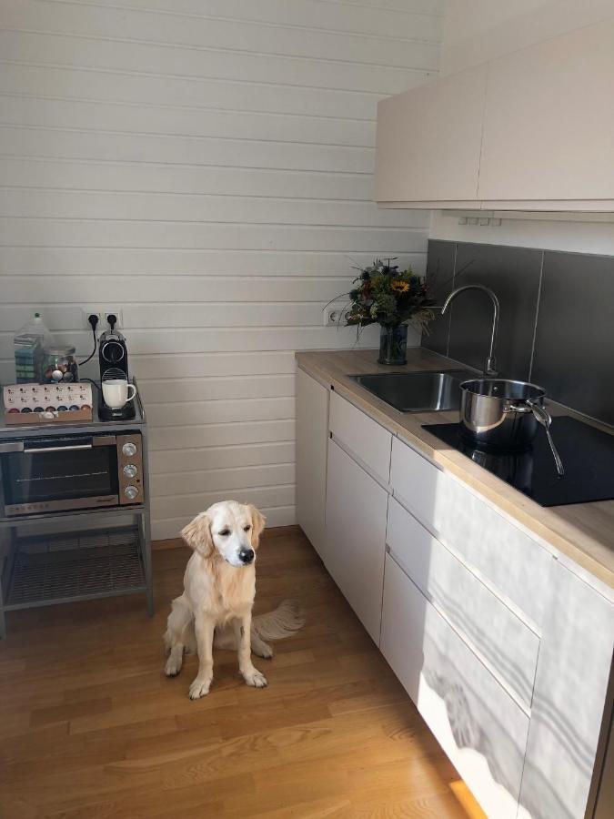 Millies Hosting - Familienurlaub Mit Hund In Kaernten Sankt Paul im Lavanttal المظهر الخارجي الصورة