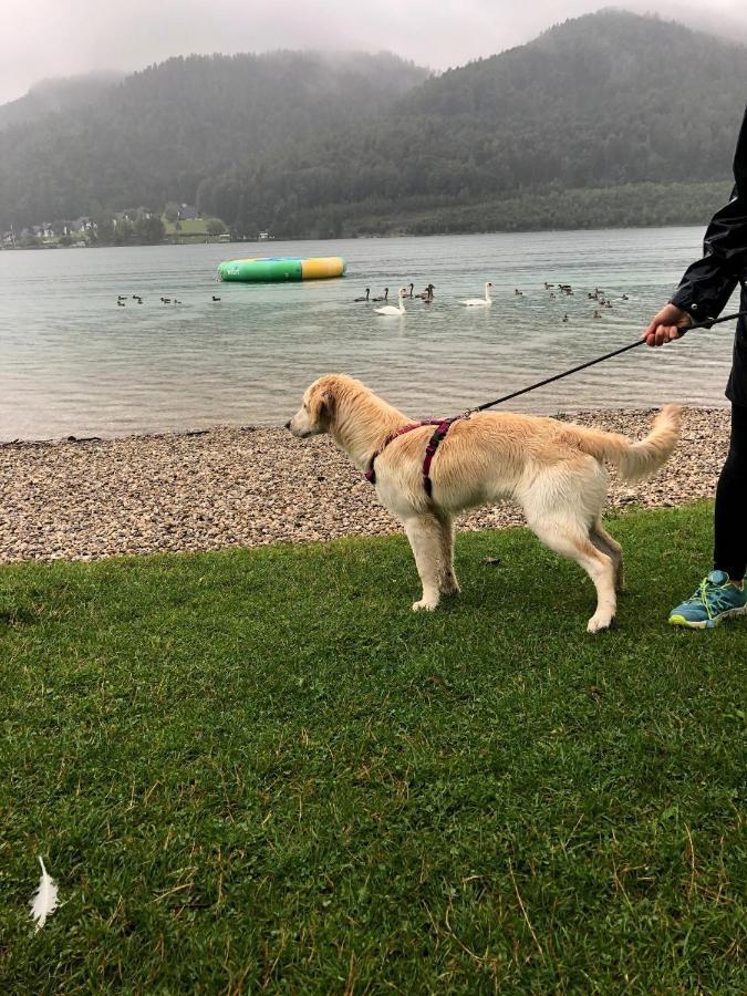 Millies Hosting - Familienurlaub Mit Hund In Kaernten Sankt Paul im Lavanttal المظهر الخارجي الصورة