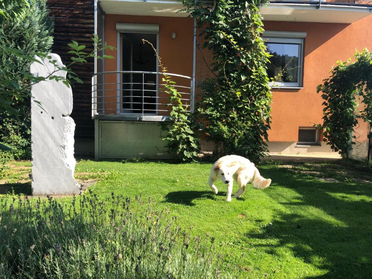 Millies Hosting - Familienurlaub Mit Hund In Kaernten Sankt Paul im Lavanttal المظهر الخارجي الصورة