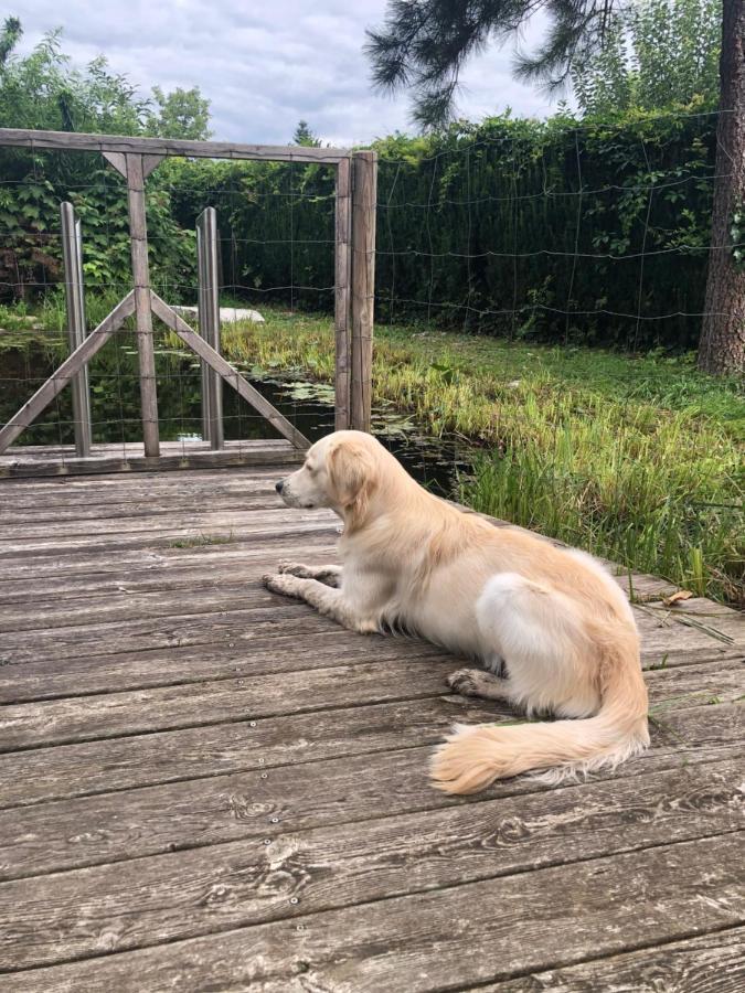 Millies Hosting - Familienurlaub Mit Hund In Kaernten Sankt Paul im Lavanttal المظهر الخارجي الصورة