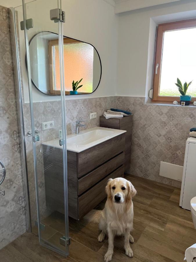 Millies Hosting - Familienurlaub Mit Hund In Kaernten Sankt Paul im Lavanttal المظهر الخارجي الصورة