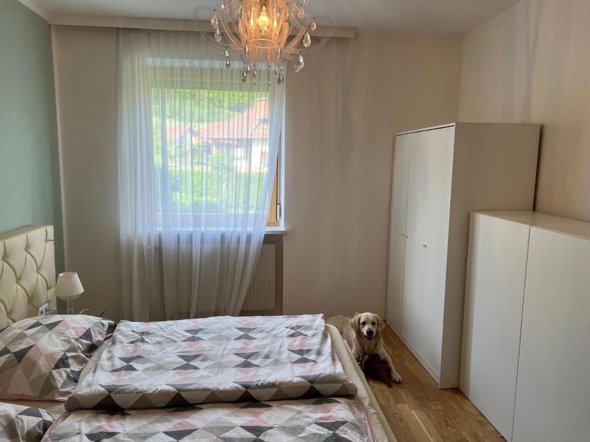 Millies Hosting - Familienurlaub Mit Hund In Kaernten Sankt Paul im Lavanttal المظهر الخارجي الصورة